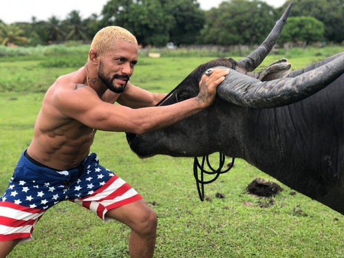 Amehtyst therapy rock cradle